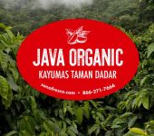 Java Organic Kayumas Taman Dadar - 20lb