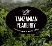 Tanzanian Peaberry - 20lb